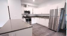 MODERN BUILT 2 BDRM. LOWER LEVEL APT.  'PARKDALE' -AVAIL. OCT. 1 - Photo 6