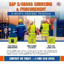 Advance Your Career with SAP S/4HANA Sourcing & Procurement!