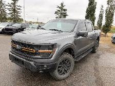 2025 Ford F-150 Tremor 3.5L | B&O Sound System - Photo 3