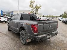 2025 Ford F-150 Tremor 3.5L | B&O Sound System - Photo 4