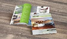 Flyer Logo Brochure Sign All Custom Attractive Print Designs... - Photo 5