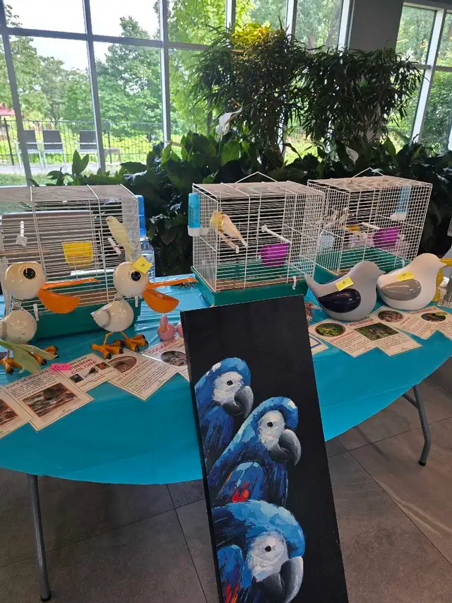 speciaux sur perruches pinsons tourterelles canaries et cages