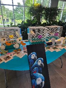 speciaux sur perruches pinsons tourterelles canaries et cages