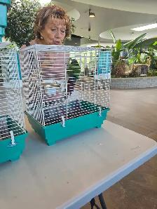 speciaux sur perruches pinsons tourterelles canaries et cages - Photo 9