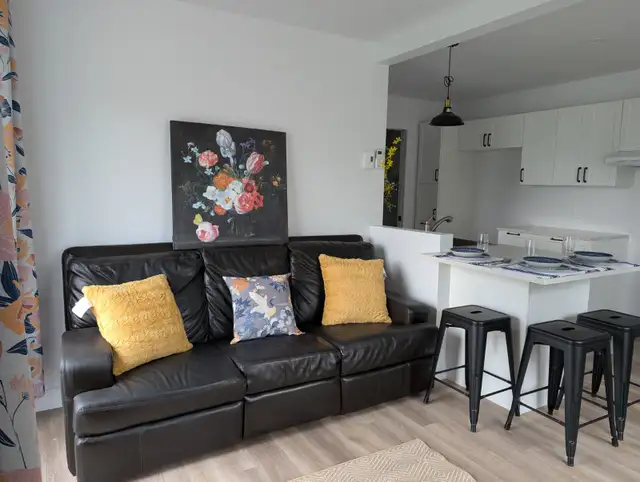 3½ rénové rez-de-chaussée – Chesterville – 840$