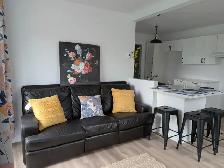 3½ rénové rez-de-chaussée – Chesterville – 840$