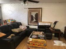 Moving Sales - Everything Must Go