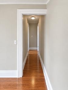 Bright/Quaint 1 Bedroom Apartment in Moncton - Photo 3