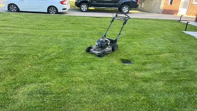 grass / cutting 288-772-7822