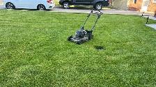 grass / cutting 288-772-7822