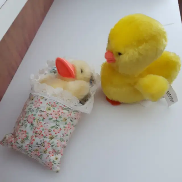 2 BEAUX CANARDS NEUFS MIGHTY STAR, 8'HAUT CHACUN: $5.00 CHACUN