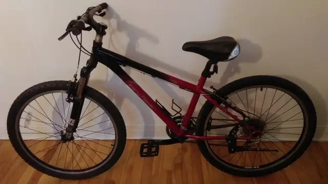 Vélo Gary Fisher en Aluminium 26  '