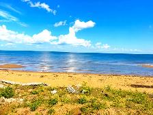 Beachfront / Waterfront Land, a rare find- JUST REDUCED $199,900 - Photo 3