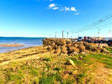 Beachfront / Waterfront Land, a rare find- JUST REDUCED $199,900 - Photo 4