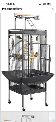 Two Indian ring necks parrots Male and Female for sale - Photo 6