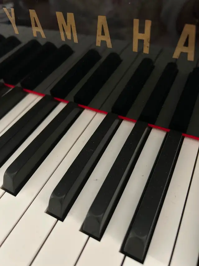 Experienced Piano Teacher