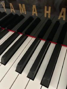 Experienced Piano Teacher