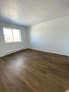 UN 3½ POUR 1 OCTOBRE AU 810 CONTENT AU 2ièm ÉTAGE UN 32 LOGEMENT - Photo 7