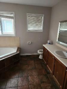 Detached 5 Bedrom House Prime Location(Mavis&Eglinton) Available - Photo 5