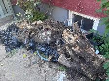 AJ Junk removal @ 2899685272