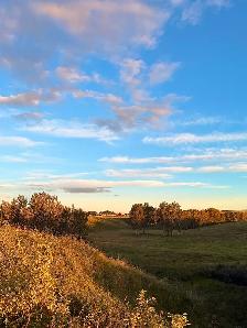 Barn And 55 Acres Of Pasture For Winter Cattle Rental - Photo 3
