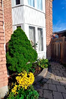 Basement for Rent - Photo 2