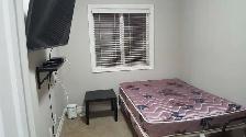 Room for Rent Sherwood Park $600 - Photo 5