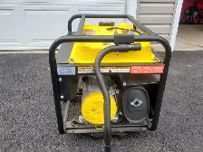 Champion Generator - Photo 3