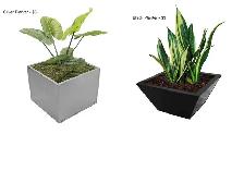 PLANTERS - SILVER & BLACK - $3 EACH