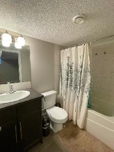 A Bright, Cozy and Furnished Room for rent in Panorama Hills - Photo 7