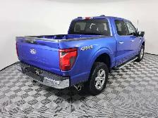 2024 Ford F-150 XLT XLT 4WD SuperCrew 5.5&amp.apos. Box - Photo 6