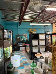 NE Retail/ Warehouse Bay Close to Airport Major Traffic Routes - Photo 6