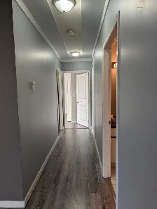 2 Bedroom apartment Downtown Kamloops - Photo 3