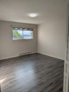2 Bedroom apartment Downtown Kamloops - Photo 4