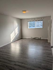 2 Bedroom apartment Downtown Kamloops - Photo 6