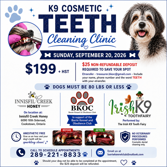 K9 Dental Cleaning - ANESTHETIC FREE