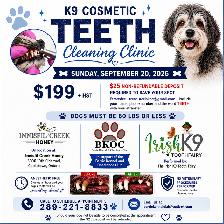 K9 Dental Cleaning - ANESTHETIC FREE