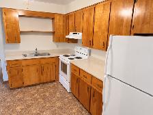 LARGE 1 Bedroom Apartment - 8 Elm Street - Photo 3