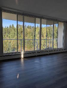 Unfurnished 2 Bed, 1 Bath Apartment - Photo 2