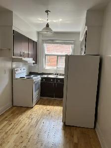 METRO COTE ST. CATH. 4.5 FACE FRONT RENOV. QUIET - Photo 6