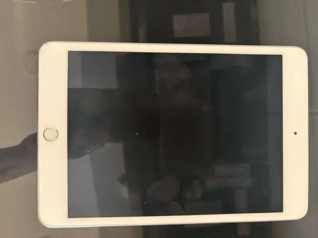 iPad mini 4 128G