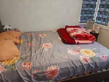 private room rent for girl - Photo 3