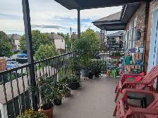 Condo Rental - Photo 10