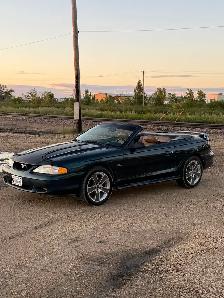1995 Mustang GT - Photo 5