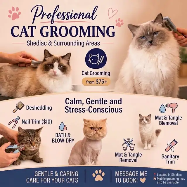 Cat Grooming in Shediac & surrounding areas