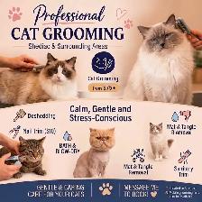 Cat Grooming in Shediac & surrounding areas