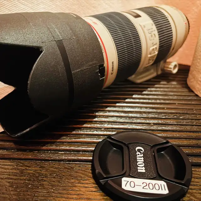 Two Canon Camera Lenses for Sale! (70-200 & 28-135)