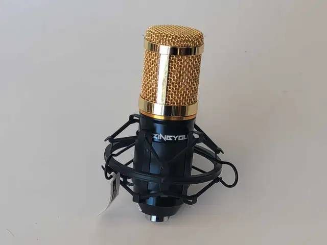 Zingyou BM800 Condenser Mic (32730108)