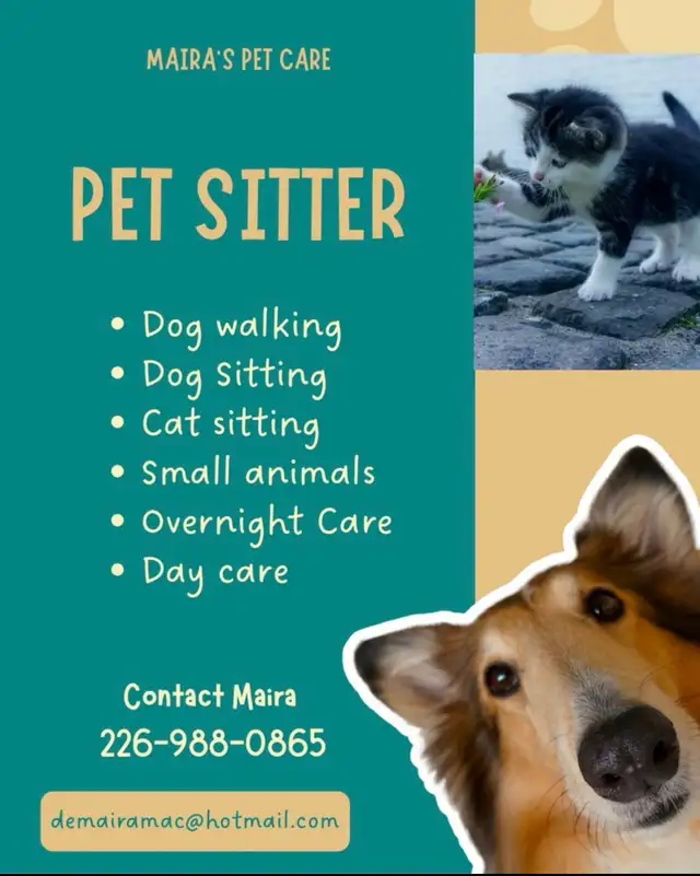 Pet Sitter