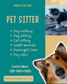 Pet Sitter